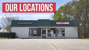 Ants have distinct you can sprinkle peppermint over popular rodent habitats i.e. Our Locations Solutions Pest Lawn Youtube