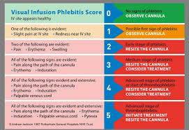 Phlebitis Score For Vip Related Keywords Suggestions