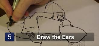 How to draw a cartoon fish (for young artists). How To Draw A Camel Face Drawing Illustration Wonderhowto