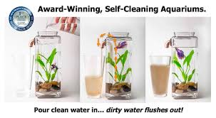 Noclean Aquariums Home Cleaning Fish Self Cleaning Fish Tank Aquaponics