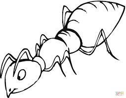 We did not find results for: Ant Black And White Ant Is Sniffing Coloring Page Free Printable Coloring Pages Clipart Wikiclipart