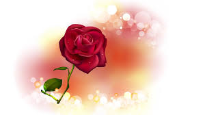 Red Rose Wallpapers Red Flowers Hd Pictures One Hd Wallpaper Rose Flower Wallpaper Beautiful Flowers Wallpapers Pink Flowers Wallpaper