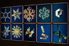 Το Μυστικό του Νερού: Dr. Masaru Emoto | Τerrapapers