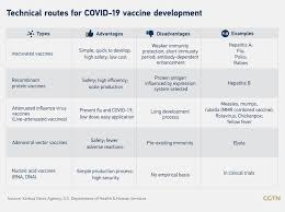 The person can contract the virus but will not develop disease. Is The 79 Efficacy Of Chinese Covid 19 Vaccine Good Enough Cgtn