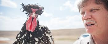 Inside Whiting Farms' Hackle Empire