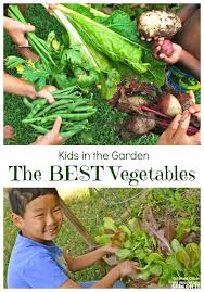 Root vegetables like carrots and beets can do well with less than six hours of sun, they can grow well with just four hours. Best Vegetables To Grow With Kids In The Garden