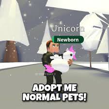 Redeeming adopt me codes is a pretty simple thing to do. Adopt Me Normal Pets Best Price Read Desc Ebay