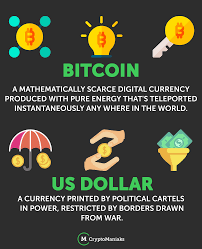 What Basket Have You Got The Majority Of Your Eggs In Bitcoin Cryptocurrency Cryptocurrency Trading