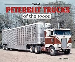 Image result for Gray 1960 Petit Truck