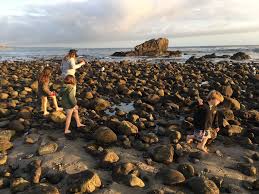 111 likes · 17 talking about this · 5 were here. Can Changes To State Camping Reservation System Help With Cheating Frustration Orange County Register