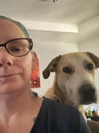 How to stop a dog from digging under the fence?