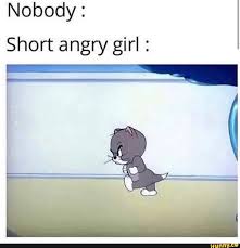 Nobody I Short Angry Girl Ifunny Short Girl Memes Stupid Funny Memes Angry Girl