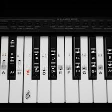 Tonhöhen, tonnamen (notennamen) und die oktavräume. Klavier Keyboard Noten Aufkleber Deutsches Layout 49 61 76 88 Tasten Instrumente Ebay