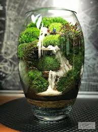 pin by debra on garden terrarium scene succulent terrarium garden terrarium