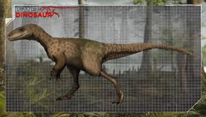 Suskityrannus (meaning coyote tyrant, suski meaning coyote in zuni) is a genus of small tyrannosauroid theropod from the late cretaceous in southern laramidia.it contains a single species, suskityrannus hazelae, believed to have lived roughly 92 million years ago. Suskityrannus Pictures Facts The Dinosaur Database