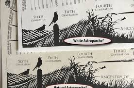 Get 10 points for just signing up today. These Cool Family Tree Charts Would Make An Amazing Gift