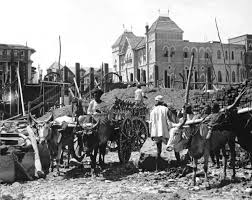 Armed Constable of the Bombay City ...