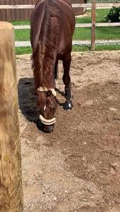 Über fragen oder bilderwünnsche wurde ich mich sehr freuen, ich wünsch euch viel spaß:) Lisa Muller Facebook