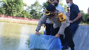 Tebar Ribuan Bibit Ikan Air Tawar Di Kolam Tribrata Kapolres Tala Harapkan Ini Banjarmasin Post