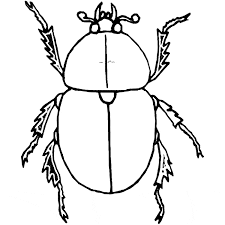 Seamless pattern with black and white hand vector. Coloring Pages Coloring Beetle
