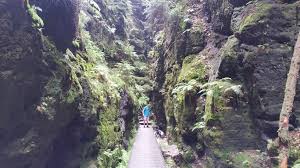 Wandern auf dem malerweg elbsandsteingebirge der malerweg elbsandsteingebirge in der sächsischen schweiz ist einer der schönsten wanderwege deutschlands. Elbsandsteingebirge Mit Hunden Travel Dogs De