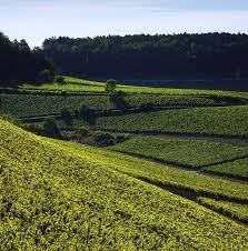 Let's talk food for your next event. Yummy Kitchen Home Heidelberg Gauteng Menu Prices Restaurant Reviews Facebook