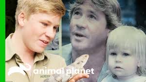 Catch fired up with bob irwin on youtube on the american guns and glory network every thursday at 5 pm. Robert Irwin Is Following In Steve Irwin S Footsteps Youtube