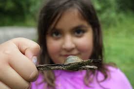 2016-17 Annual Report