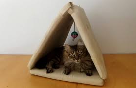We did not find results for: Video Chapter 2 How To Make A Diy Cat Teepee Mat In 30 Mins Cat Care Advices
