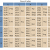 Download free dna restriction enzyme simulation answer key. 1