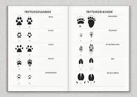 Ausdrucken tierspuren rätsel arbeitsblatt : Bichrom Archive Iris Luckhaus Illustration Design