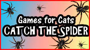 Search the world's information, including webpages, images, videos and more. Cat Games On Screen Catch The Spider Video For Cats Youtube