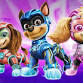 Paw Patrol Live
