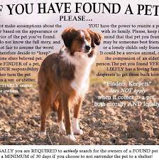 We strongly recommend visiting us and your local shelter in person to search for your lost pet. Helping Lost Found Pets On Cape Cod Get Back Home Home Facebook