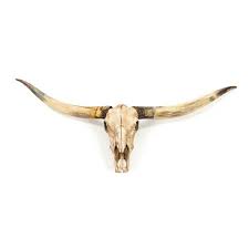 .bull skull horn art boho hippie floral western wall decal,horn art boho hippie floral western wall decal bull skull with flowers sticker cow this is a floral bull skull sticker made from my own original watercolor painting. Bull Skull Wall Decor In 2021 Skull Wall Decor Longhorn Skull Bull Skulls