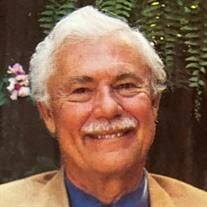 Dr. Justin Charles Steurer Obituary