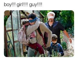 The story here is about a group of friends going for a hike into the forest. Pin By Kevin Lukjanenko On Frfr Bird Boxes Good Movies On Netflix Netflix Canada