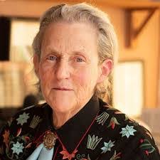 Amanda Mccaskill's Instagram, Twitter & Facebook