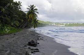 Check spelling or type a new query. La Diamond Martinique France December 31 People Walk About The La Diamond Beach On December 31 2016 Martinique Island Lesser Antilles Stock Photo Picture And Royalty Free Image Image 80137302