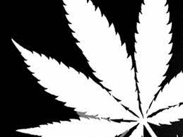 Similiar black and white weed wallpaper keywords. Black Marijuana Hd Wallpapers Wallpaper Cave