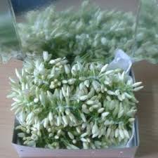 Jul 23, 2020 · sweet bay is an integral part of most of my soups and stews. Pin On Swadesh Flowers In Bay Area