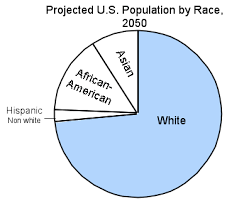 Race Pie Chart Of The World Www Bedowntowndaytona Com