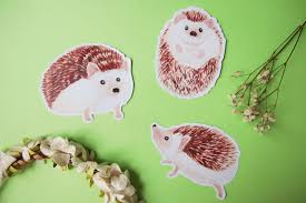 Pin On The World Of Hopnbounce