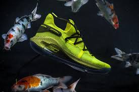 Typically, koi eggs will hatch in less than a week. Introducing The Curry 6 Coy Fish Colorway Ua Newsroom