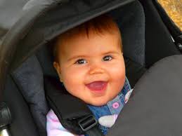 gunstone.org.uk > Photo Browser