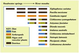 Latitudinal Species Diversity Gradient And Species Richness Patterns Flashcards Quizlet