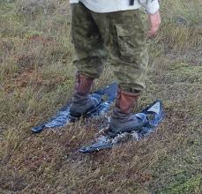 getting bogged up: a slog thru a soggy