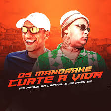 Maybe you would like to learn more about one of these? Os Mandrake Curte A Vida Single By Mc Paulin Da Capital Mc Ryan Sp Spotify