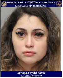 Mark Herman, Harris County Constable Precinct 4