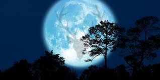 July's full moon, known as the buck moon will appear over tennessee on friday, july 23 at 9:37 p.m. Jmah Evuxke19m